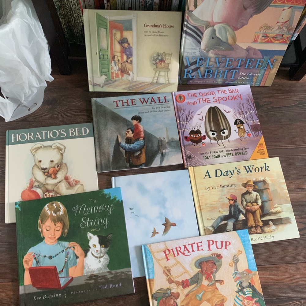 9 hardback kid books bundle  homeschool reading